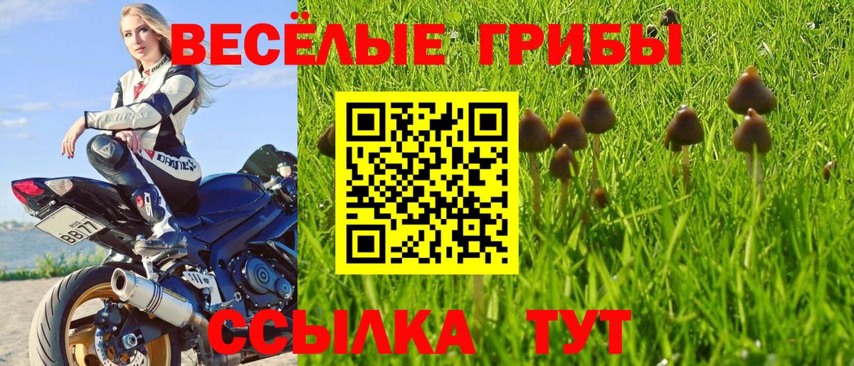 Коряжма  Галлюциногенные грибы мицелий  Вход с VPN  Галлюциногенные грибы мухоморы 