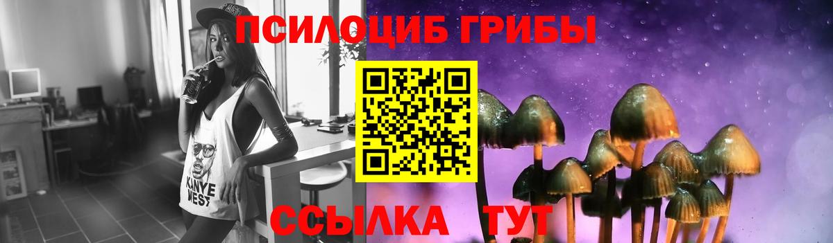 Псилоцибиновые грибы мухоморы Коряжма