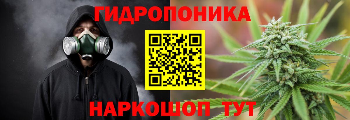Бошки марихуана THC 21%  Канабис сатива  Коряжма  Конопля SATIVA & INDICA  Вход с VPN 